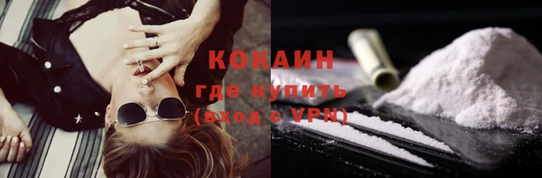 дживик Навашино