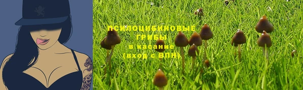 дживик Навашино