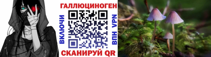 купить наркоту  даркнет клад  блэк спрут ссылка  Псилоцибиновые грибы Psilocybe  Ростов 